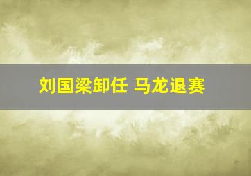 刘国梁卸任 马龙退赛